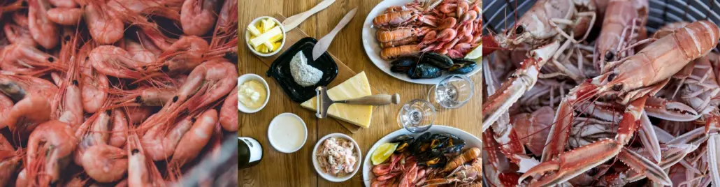 Hemsida paketsidorna