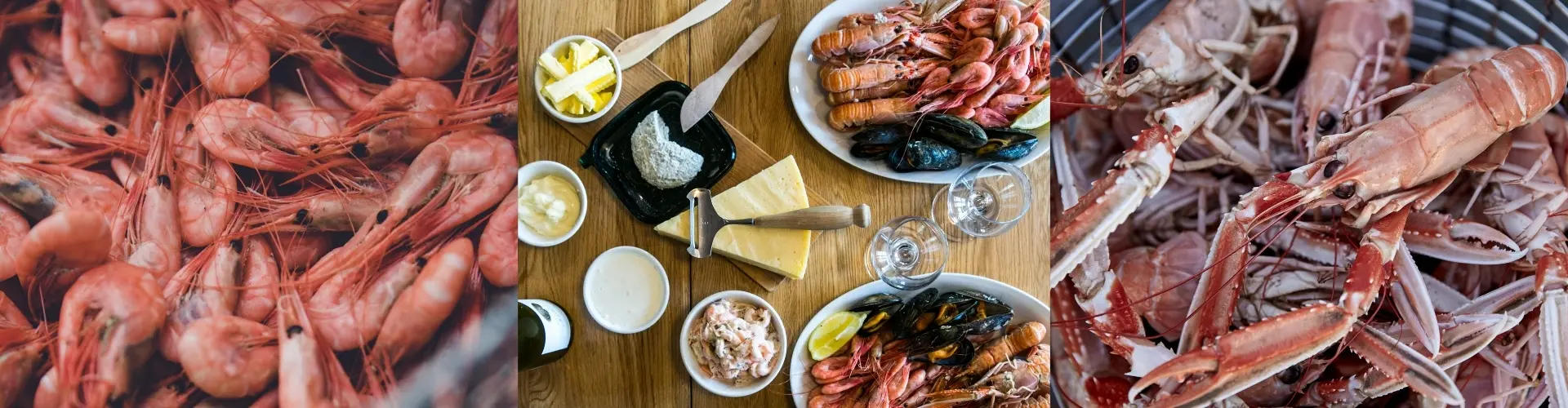 Hemsida paketsidorna