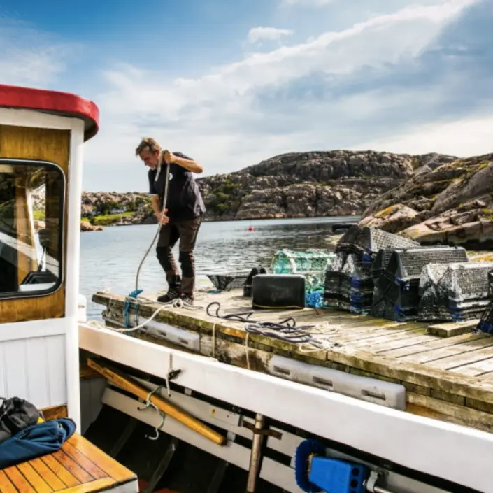 Ostron & Mussel Safari