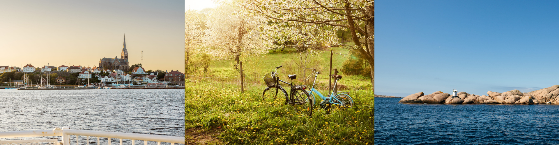 Hemsida paketsidorna (3)